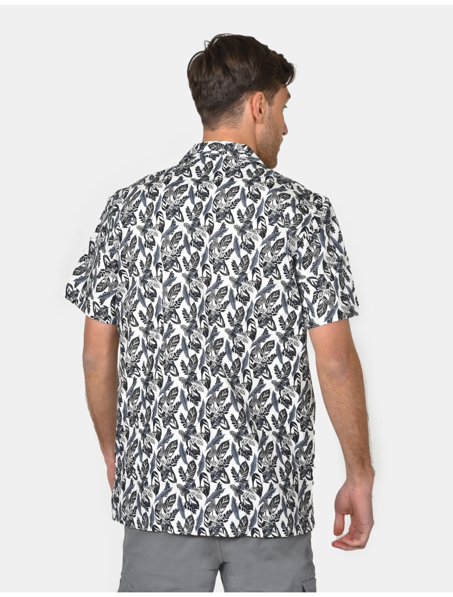 ΠΟΥΚΑΜΙΣΟ ΦΥΛΛΑ ΑΝΔΡΑΣ